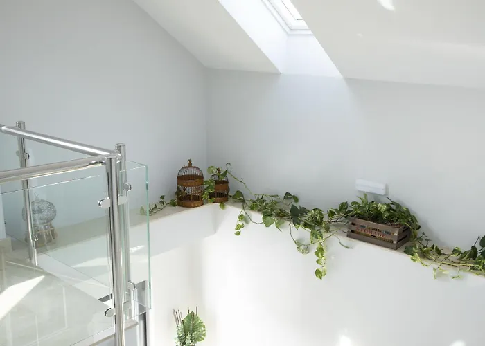 Mercedes 카마르고